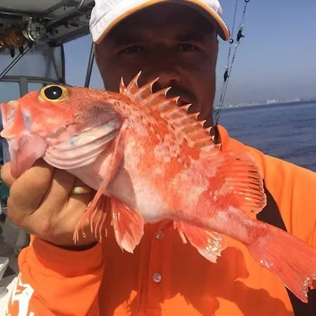 Professional Fishing Trip In Dom wakacyjny Alanya