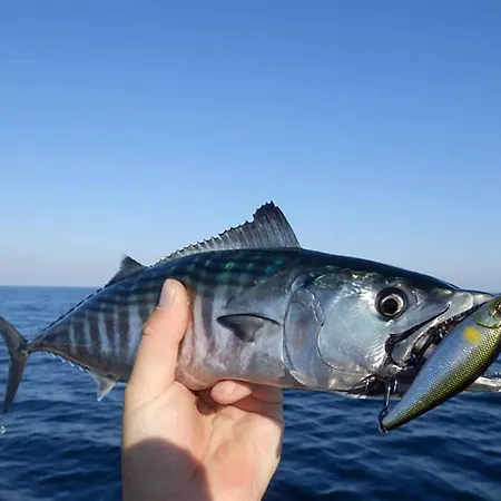 Professional Fishing Trip In *