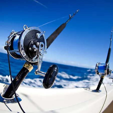 Professional Fishing Trip In Dom wakacyjny Alanya